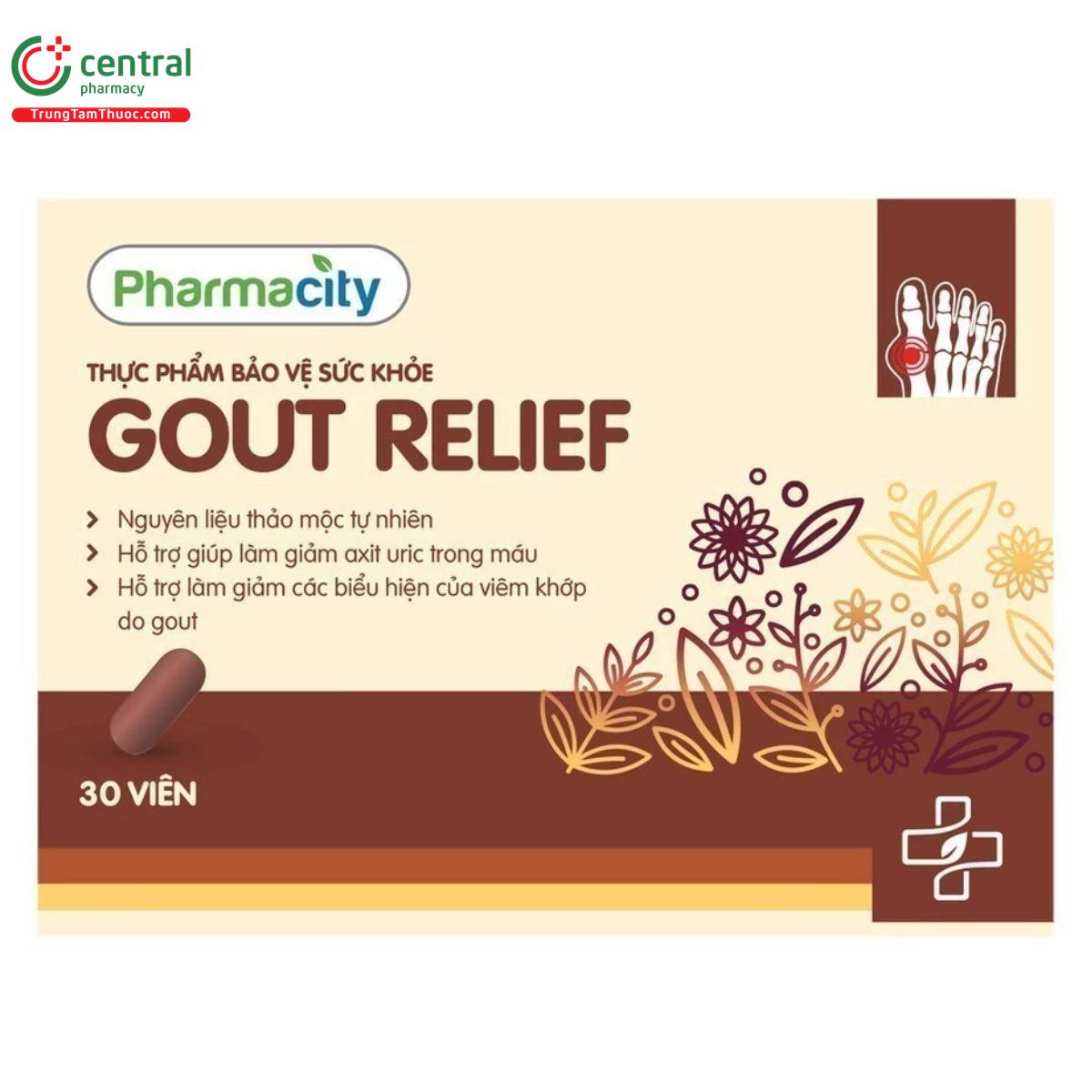 pharmacity gout relief 2 B0467
