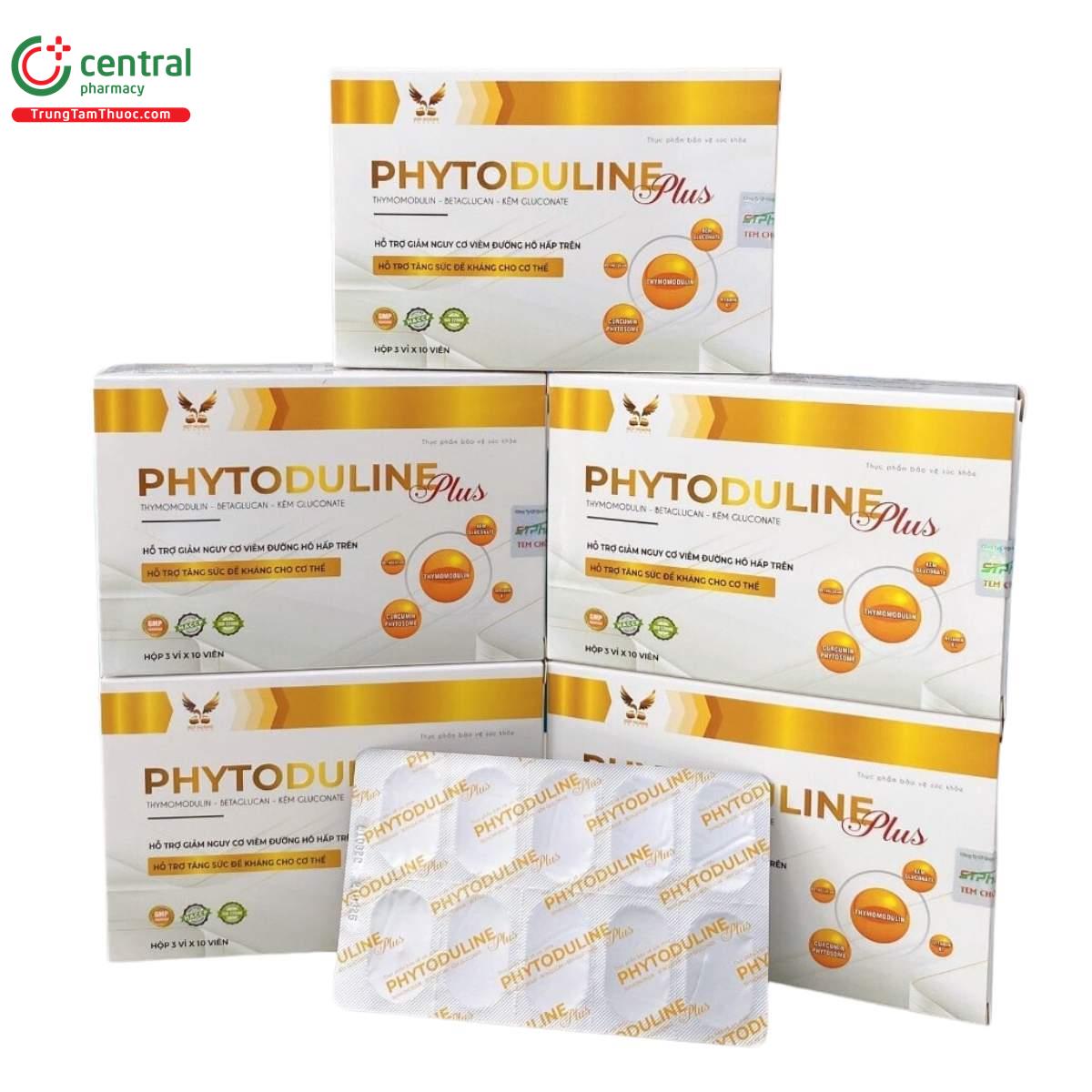 phytoduline plus 1 Q6313