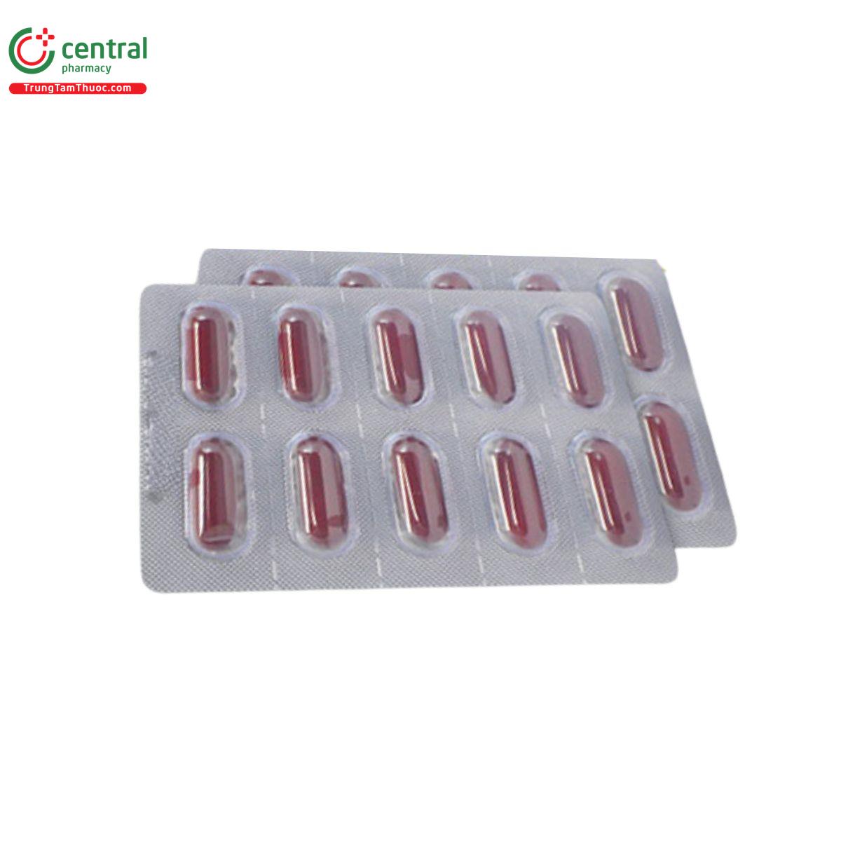 phytomix ch 4 F2382