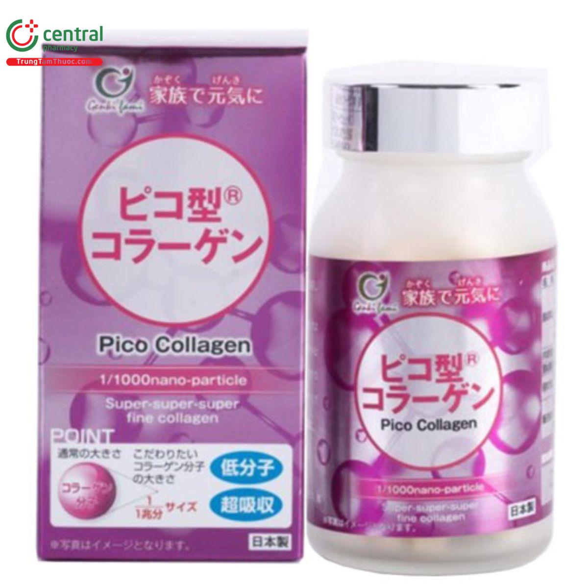 pico collagen 3 I3354