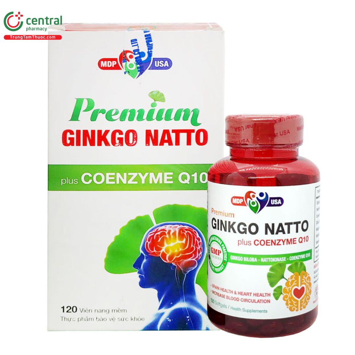 premium ginkgo natto plus coenzyme q10 2 T7565