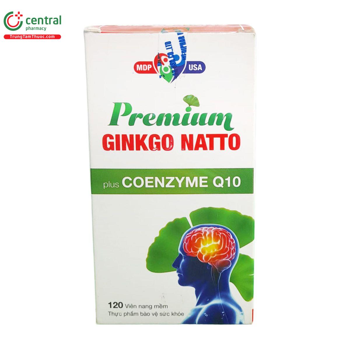 premium ginkgo natto plus coenzyme q10 4 E1212