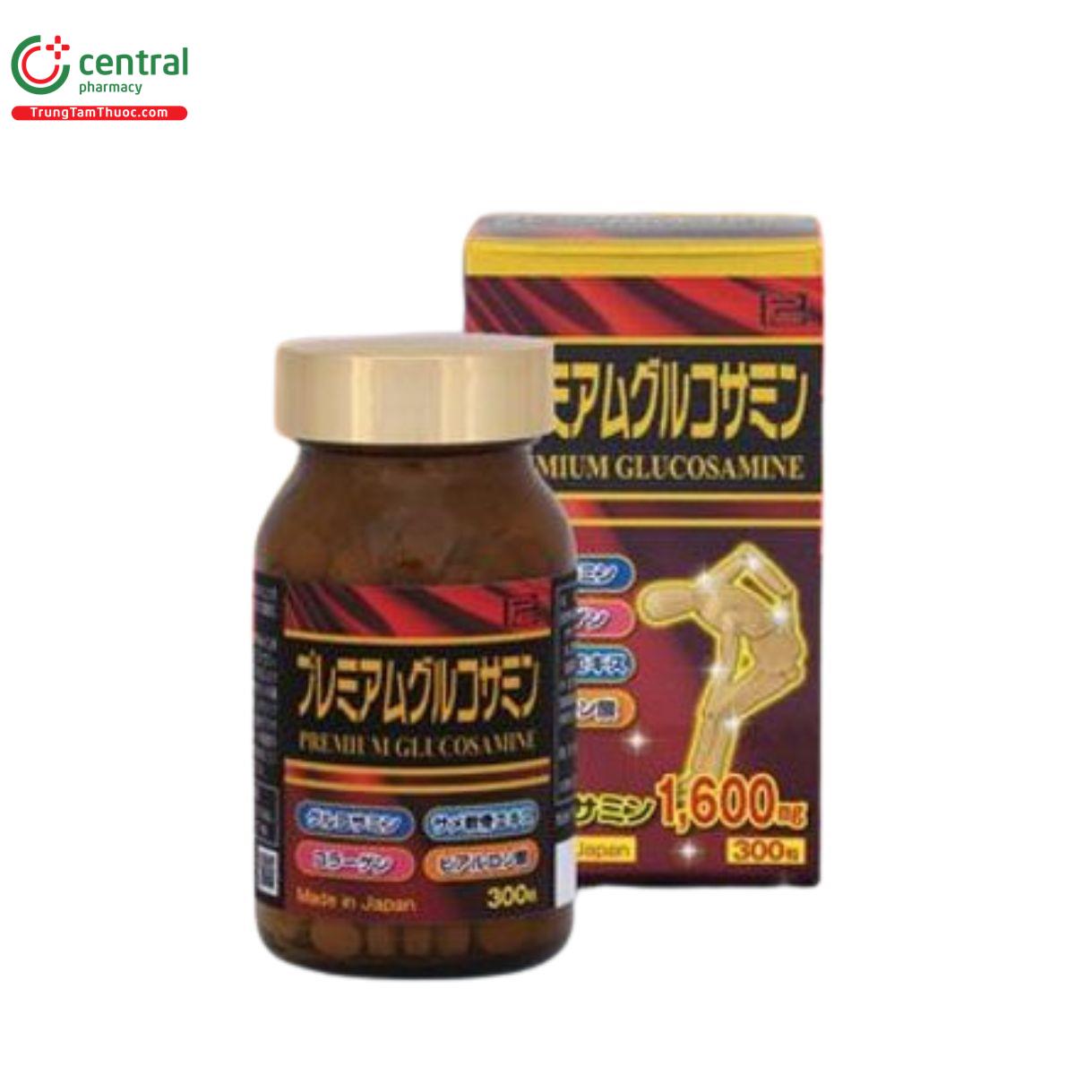 premium glucosamine 3 B0657