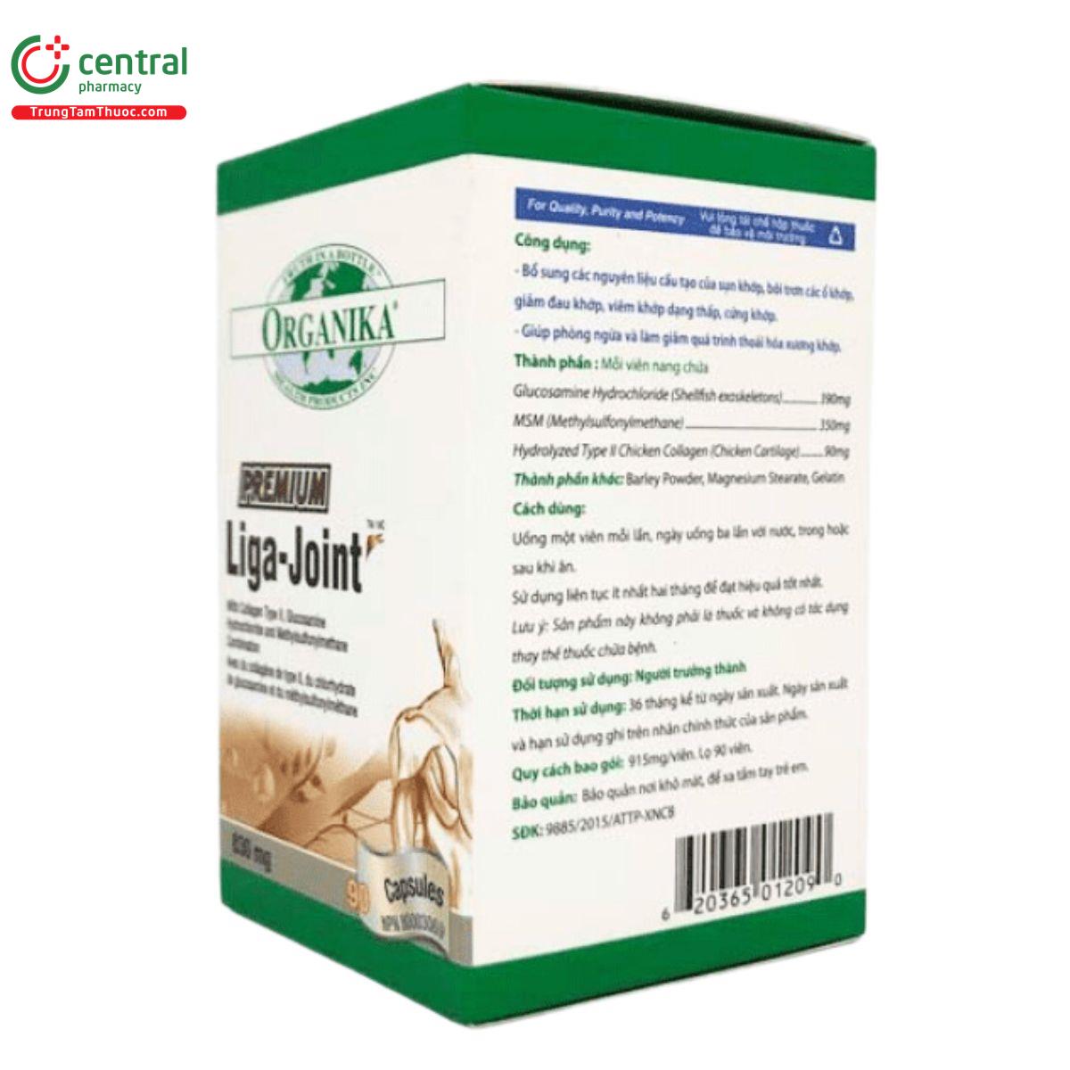 premium liga joint 10 A0484