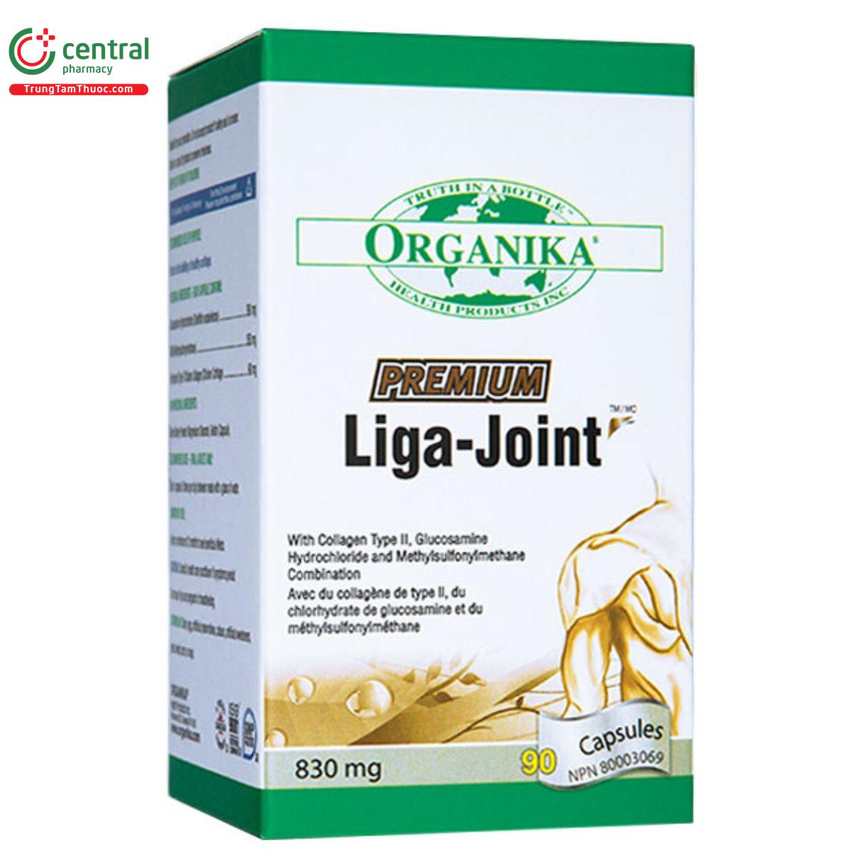 premium liga joint 11 N5276