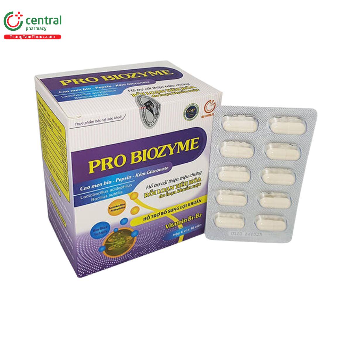 pro biozyme 1 K4532