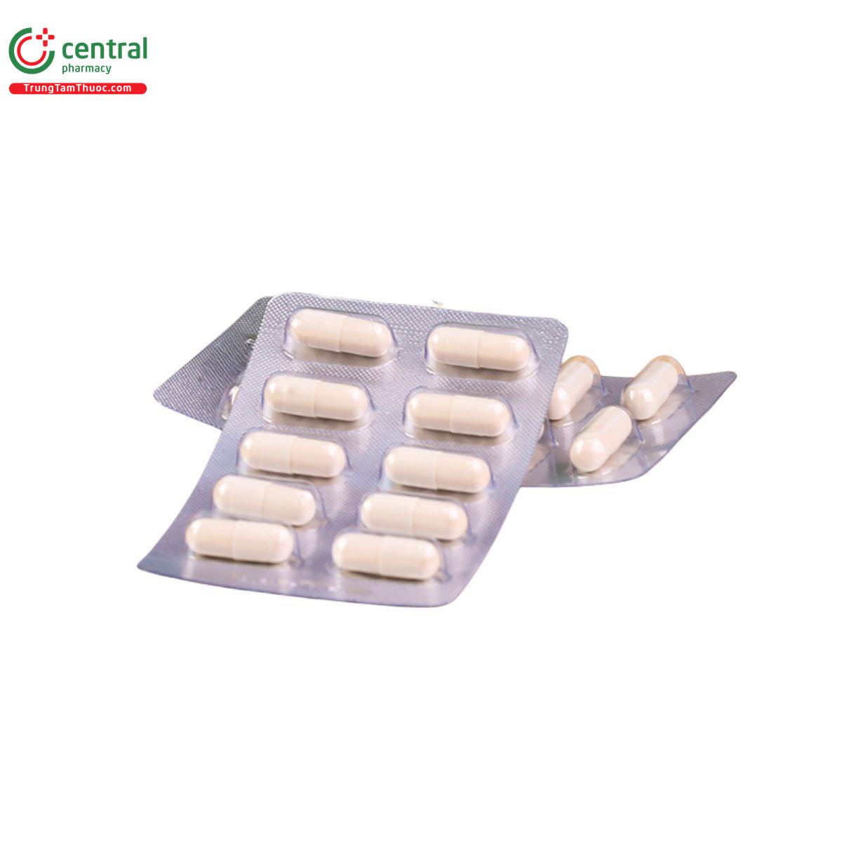 pro biozyme 3 P6611