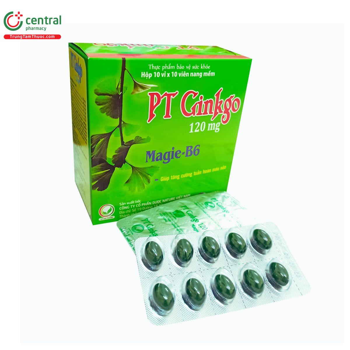 pt ginkgo 120mg 2 N5851