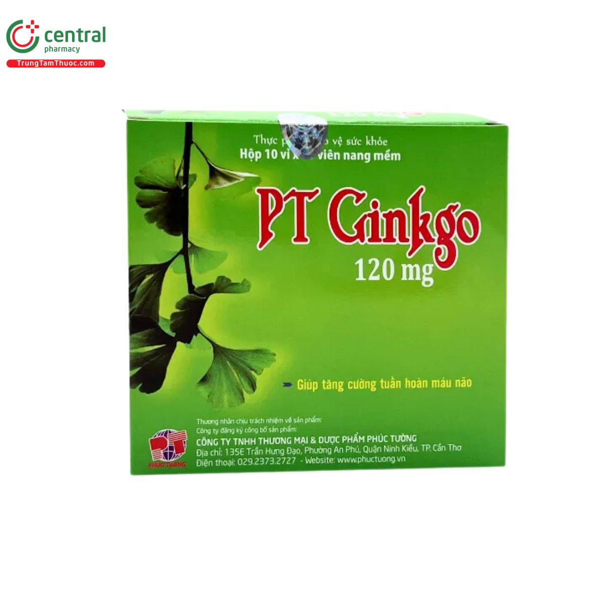 pt ginkgo 120mg 4 M5848