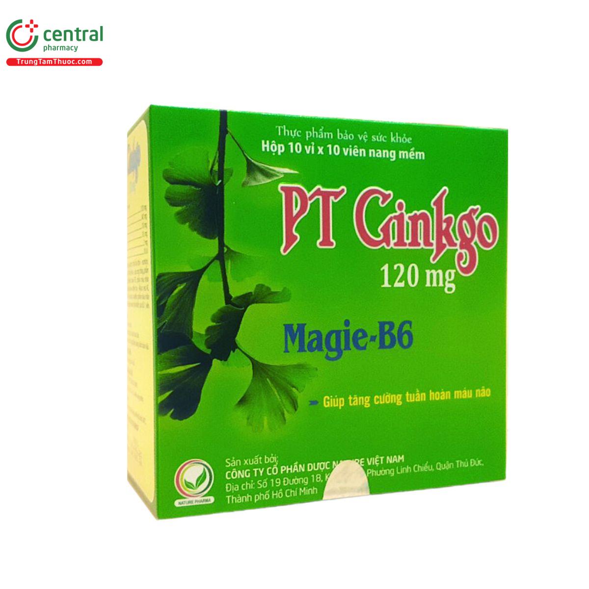 pt ginkgo 120mg 5 T7675