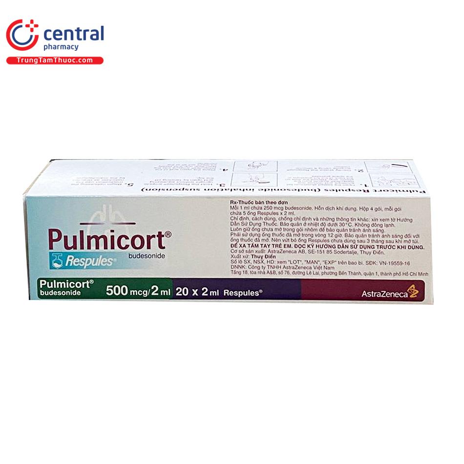 pulmicort 5 V8638