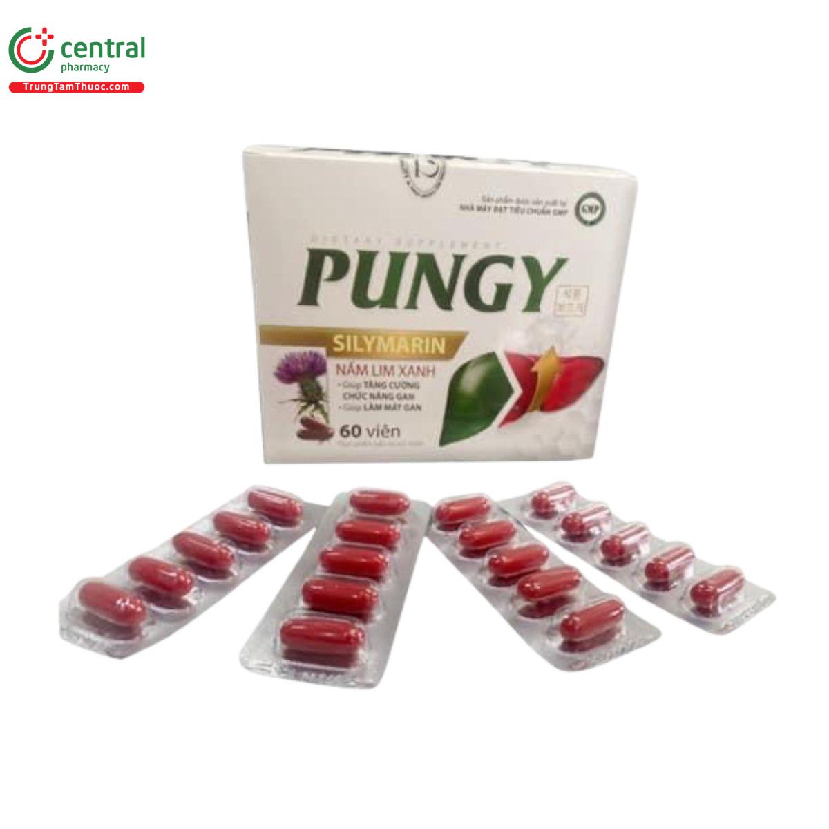 pungy 1 D1238 pungy 1 D1238