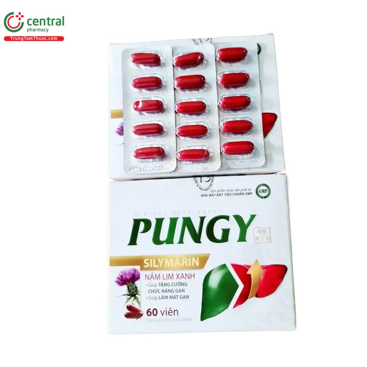 pungy 2 K4865 pungy 2 K4865