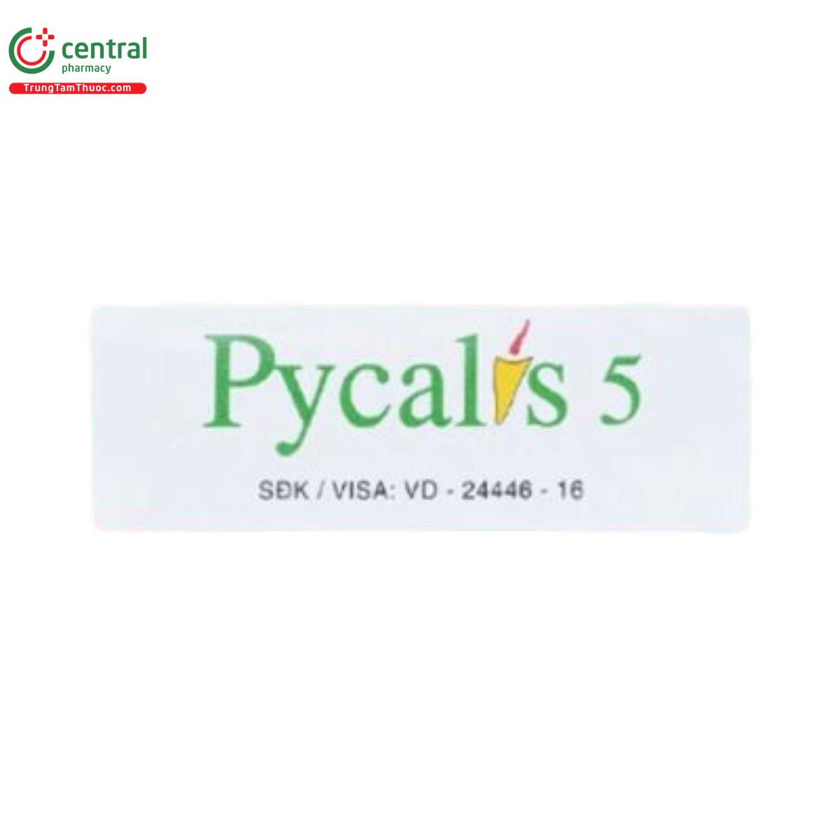 pycalis 5 3 G2871