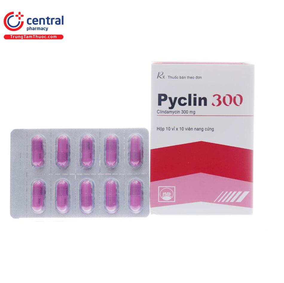 Pycin Injeksi Thuốc Pyclin 300 (Clindamycin 300mg): Tác dụng - Chỉ định, Liều dùng