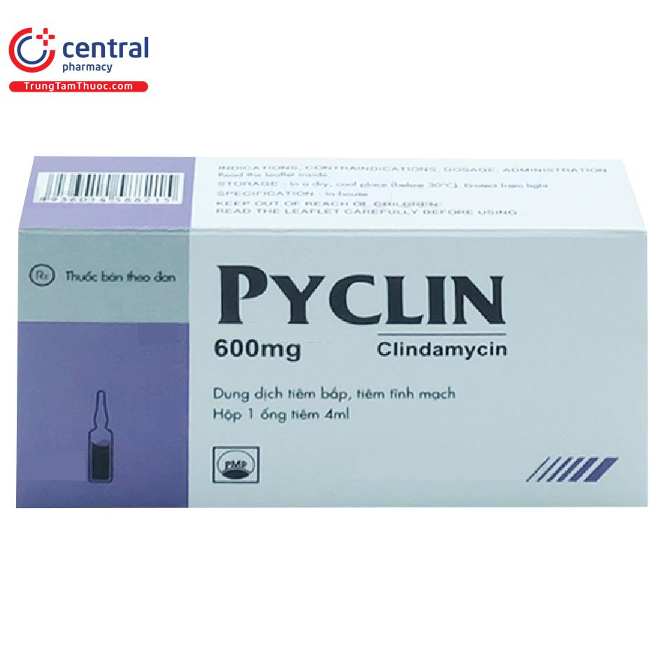 [CHÍNH HÃNG] Thuốc Pyclin 600 - thuốc điều trị nhiễm khuẩn hiệu quả