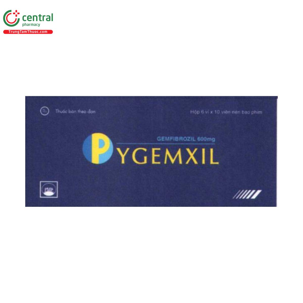 pygemxil 1 D1157 pygemxil 1 D1157