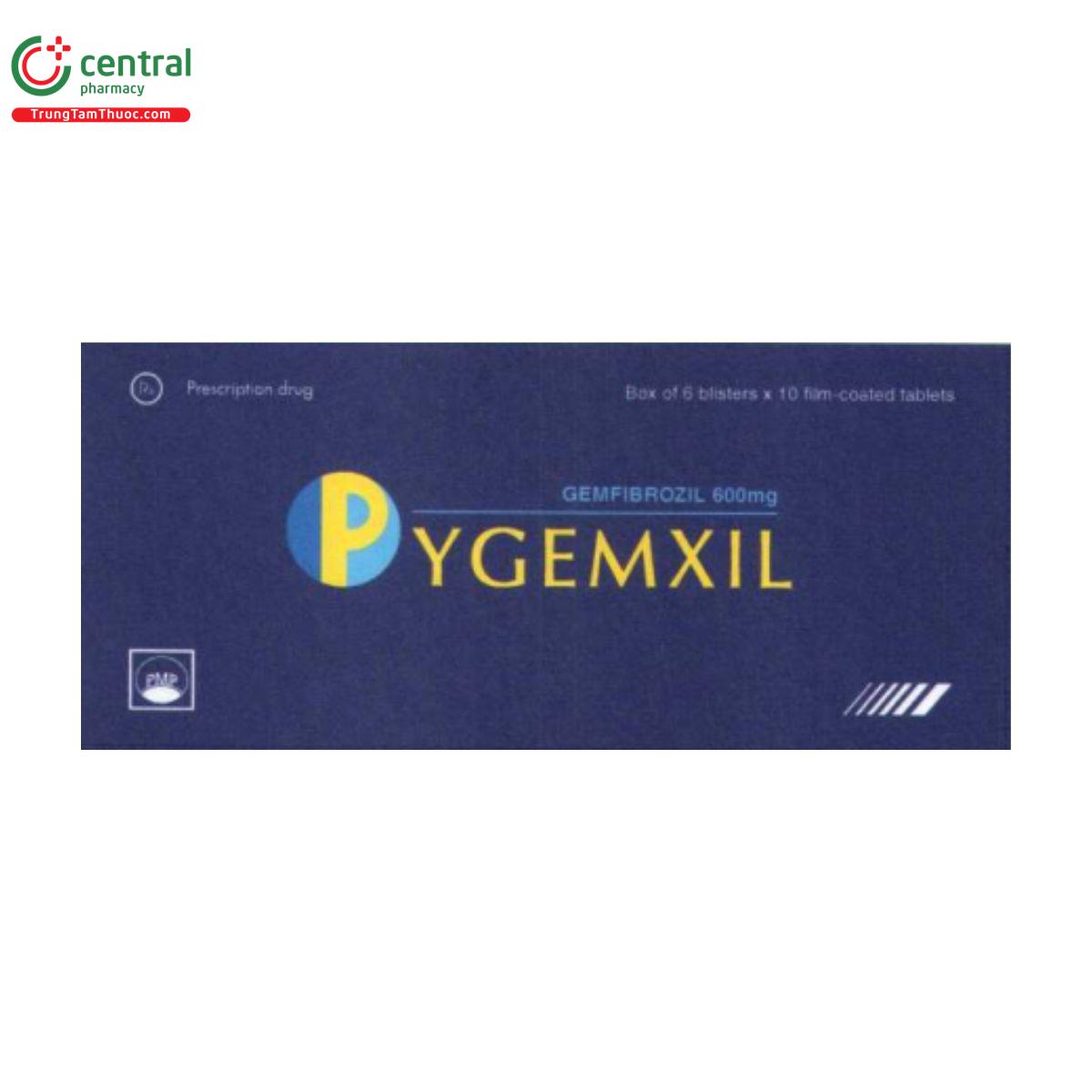 pygemxil 2 G2236 pygemxil 2 G2236