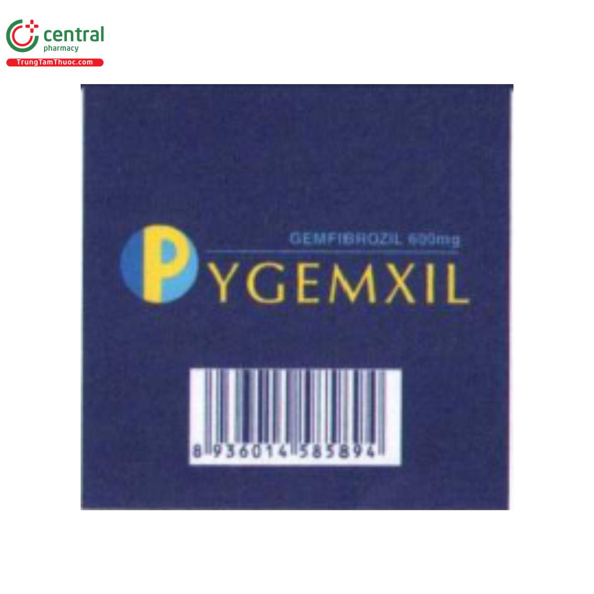 pygemxil 5 I3705 pygemxil 5 I3705