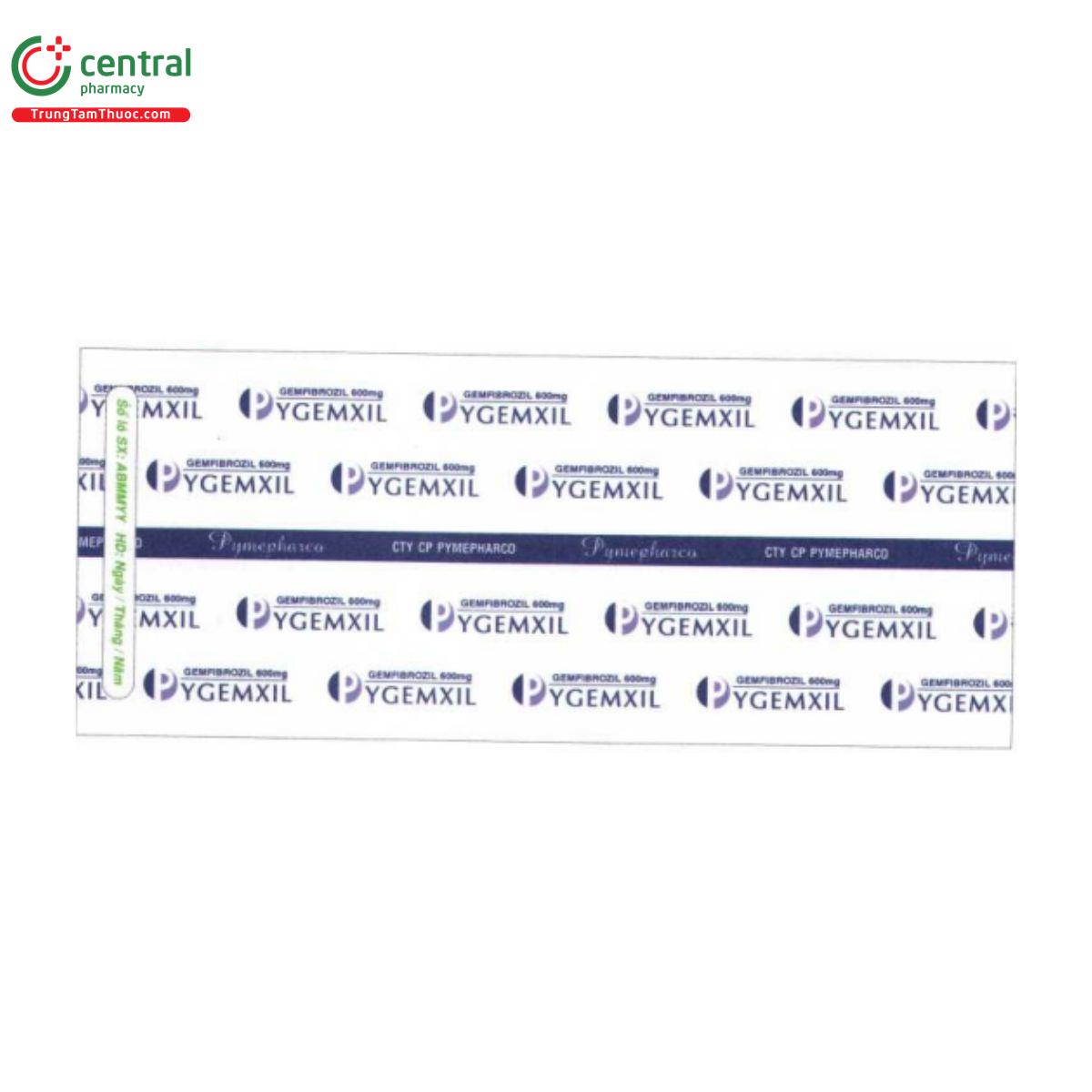 pygemxil 6 P6442 pygemxil 6 P6442