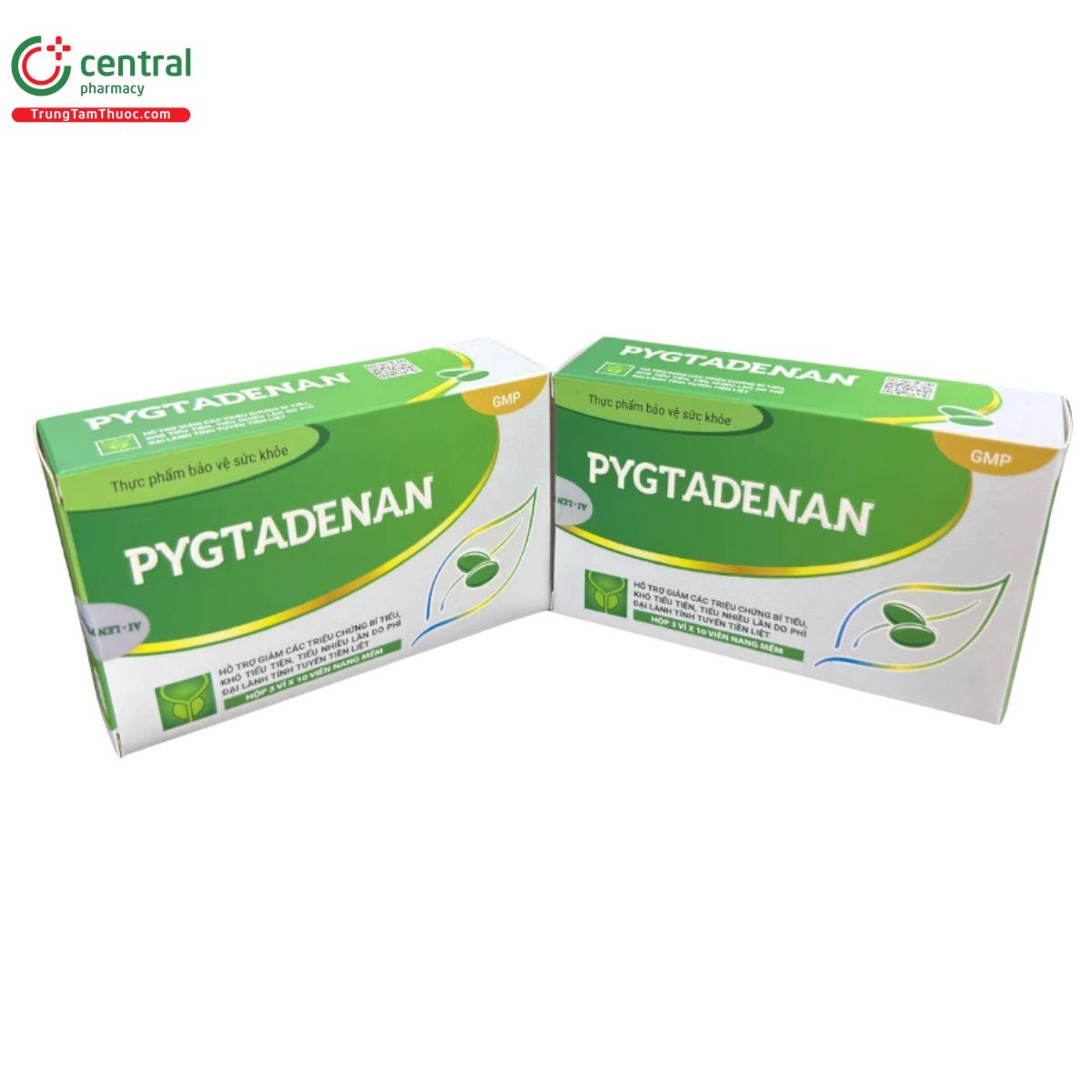 pygtadenan 3 E1262 pygtadenan 3 E1262