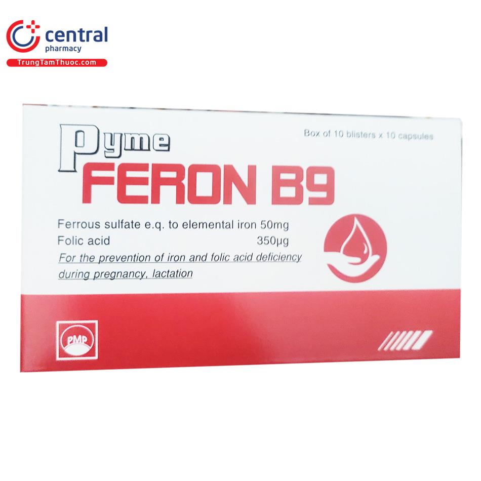 pyme feron b9 5 P6141