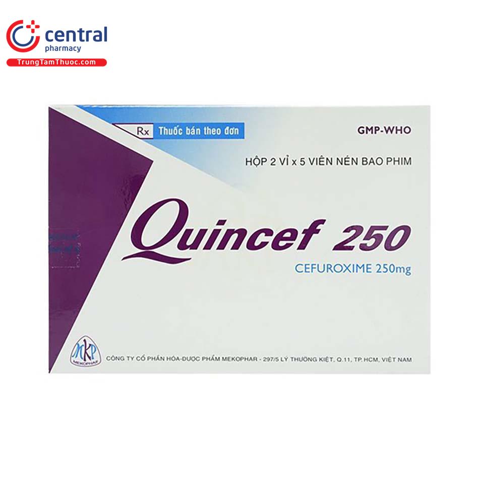 quincef 250 2 I3446