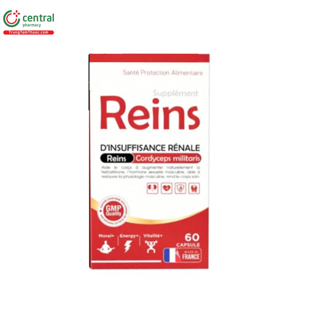 reins 3 T7308
