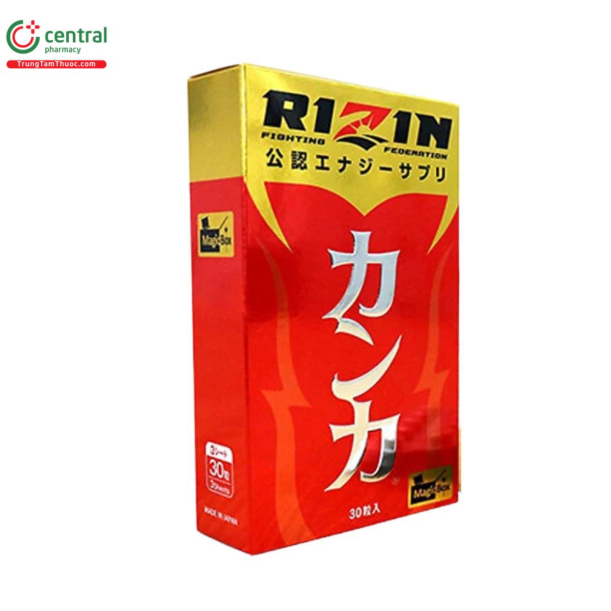 rizin 4 R7287