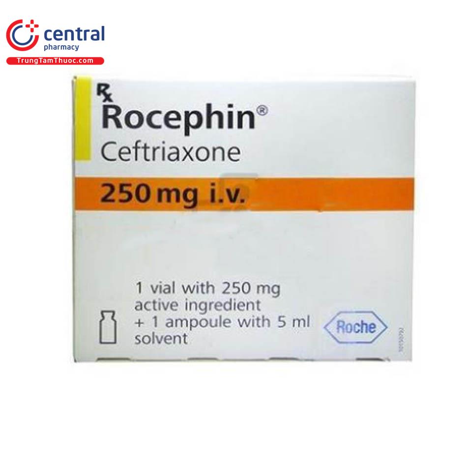 Thuốc kháng sinh Rocephin 250mg i.v Liều dùng, cách dùng đúng cách