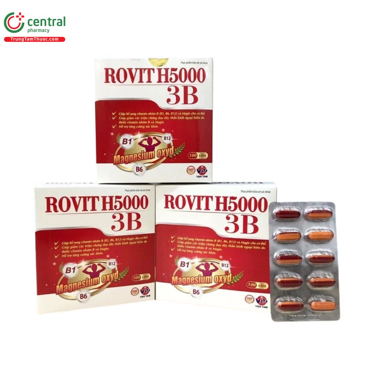 rovit h5000 3b 2 G2834 rovit h5000 3b 2 G2834