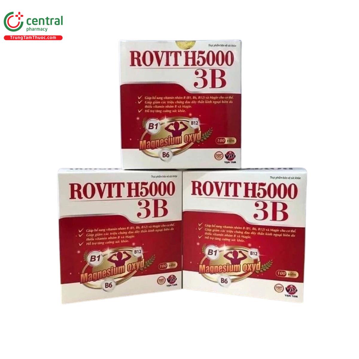 rovit h5000 3b 4 O5154 rovit h5000 3b 4 O5154
