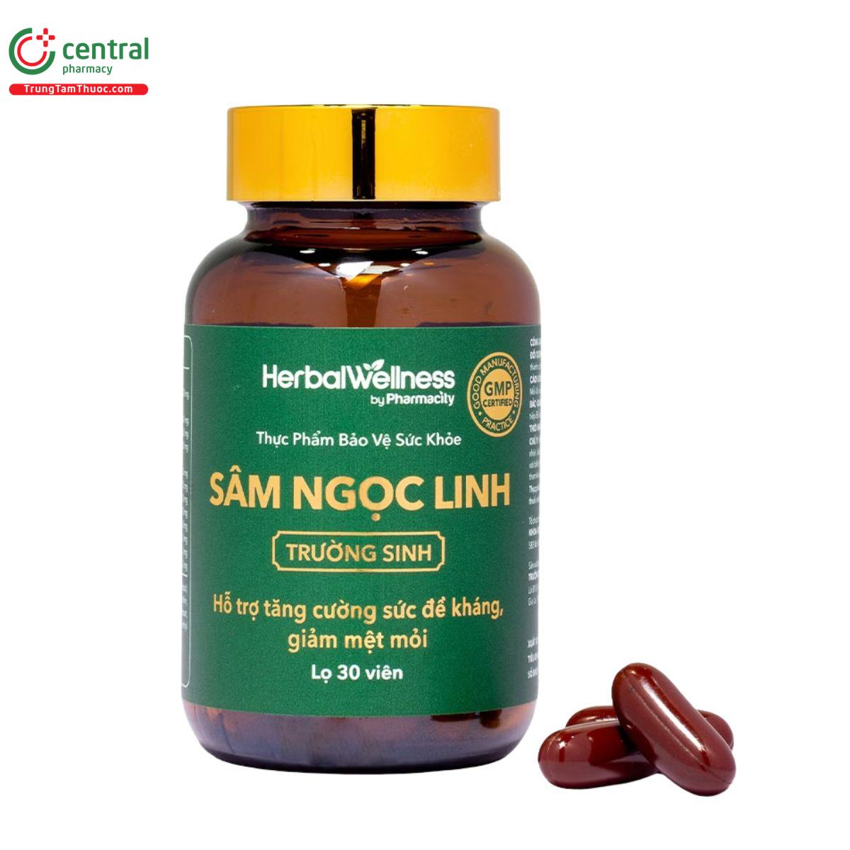 sam ngoc linh truong sinh 5 J3834 sam ngoc linh truong sinh 5 J3834