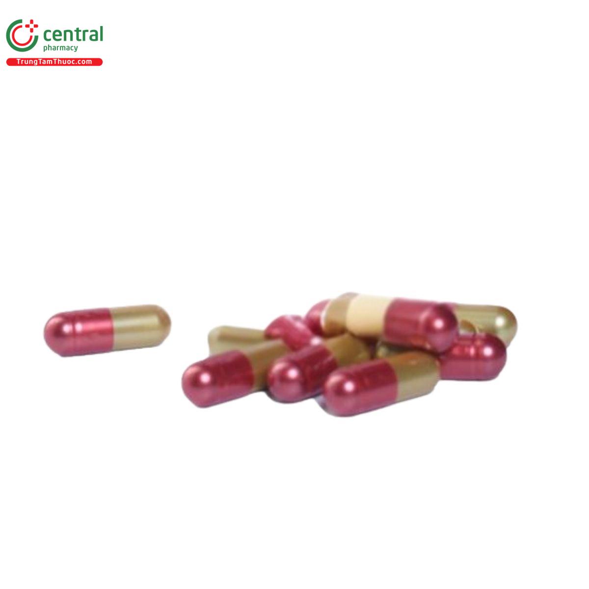 sam nhung bo than isopharco 6 K4650