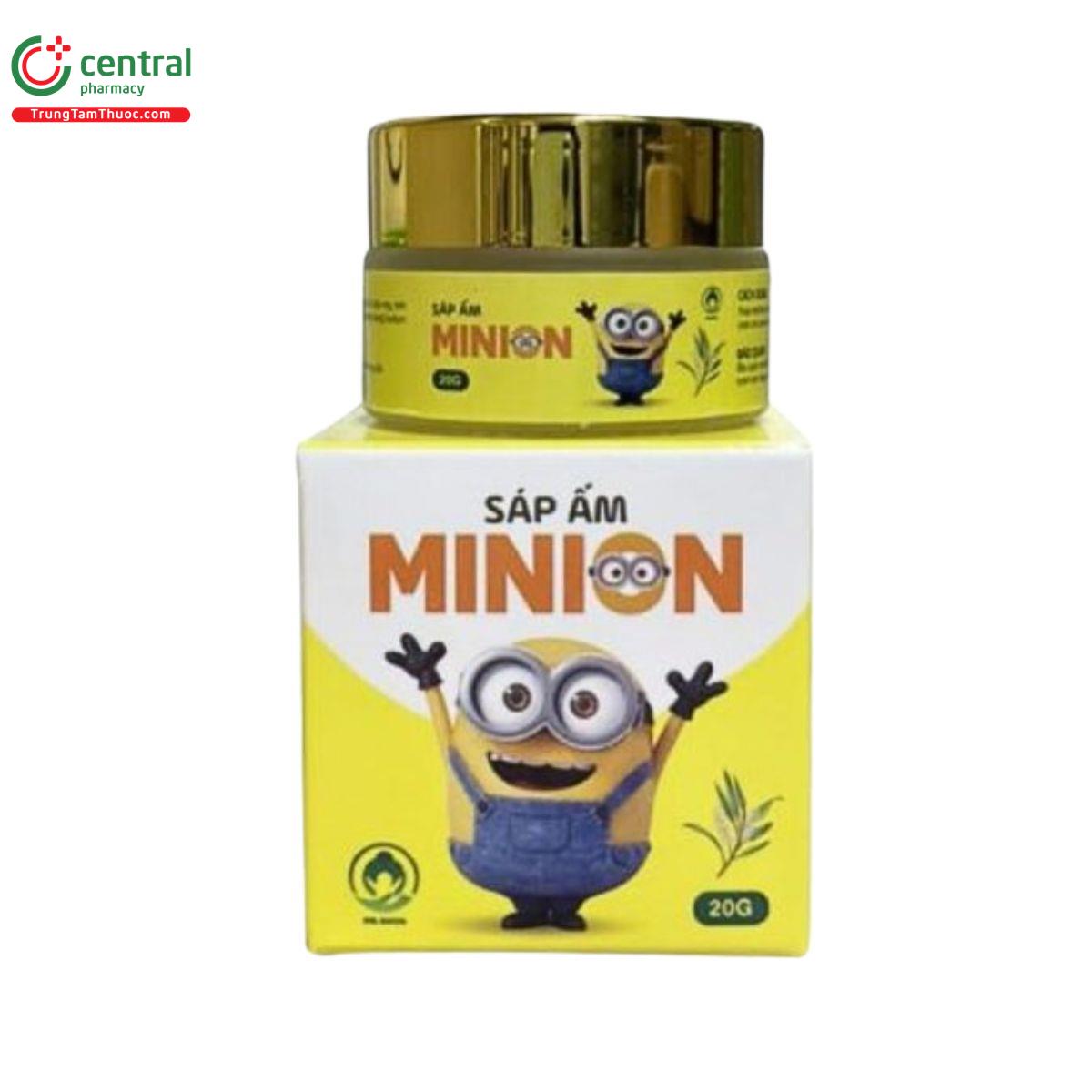 sap am minion 3 Q6734