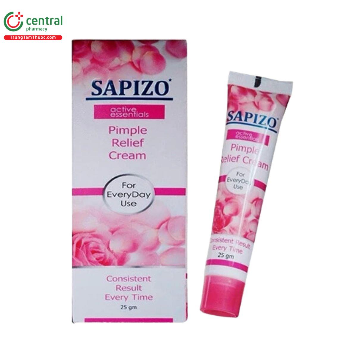 sapizo 25g 4 G2023