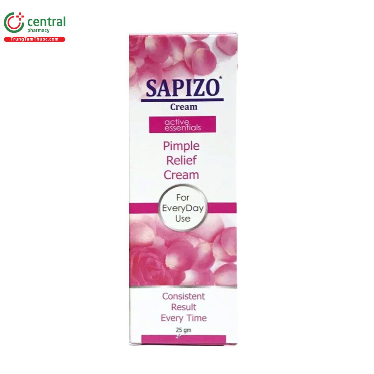 sapizo 25g 5 P6320