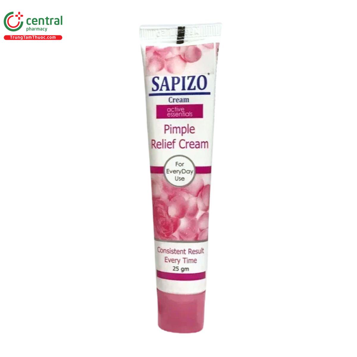 sapizo 25g 7 R7406