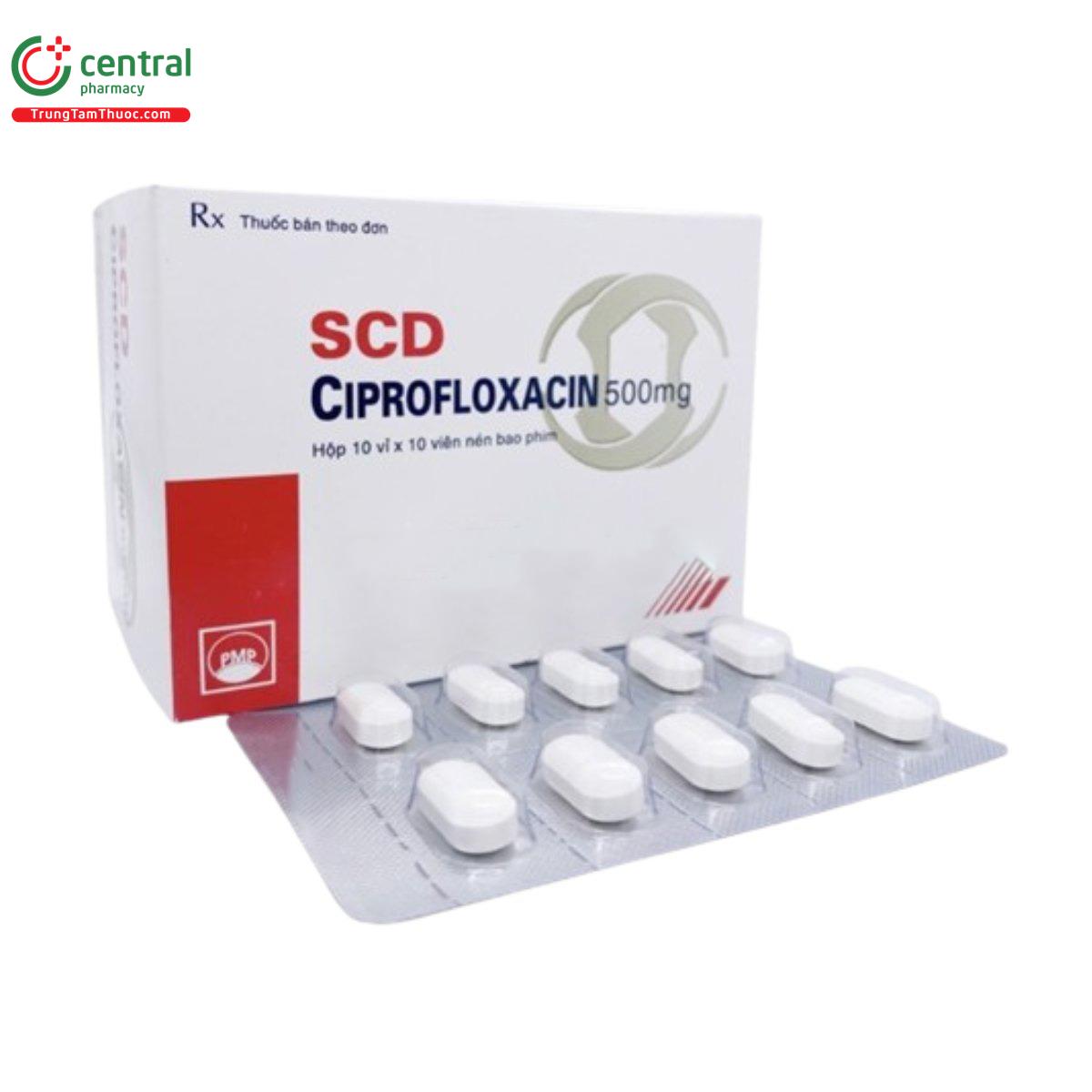 Thuốc SCD Ciprofloxacin 500mg Kháng sinh Quinolon diệt khuẩn mạnh