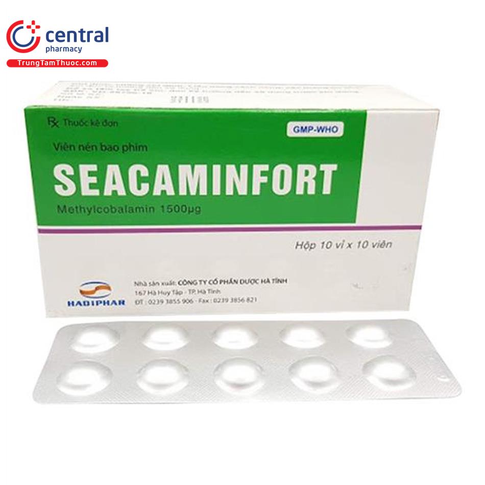 seacamifort 3 C0873