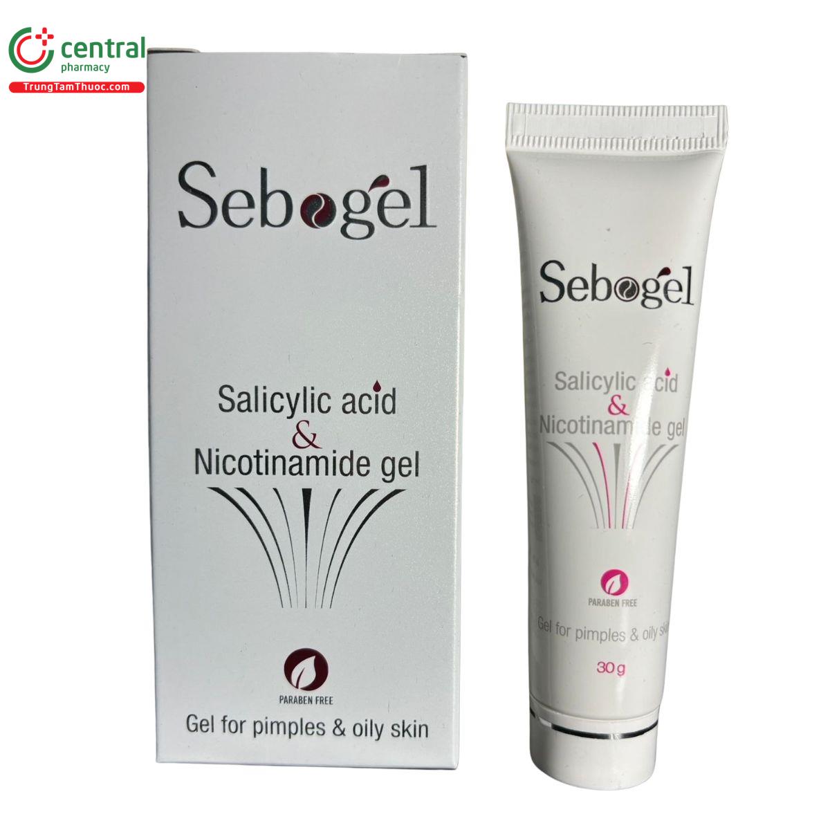 sebogel 1 A0373