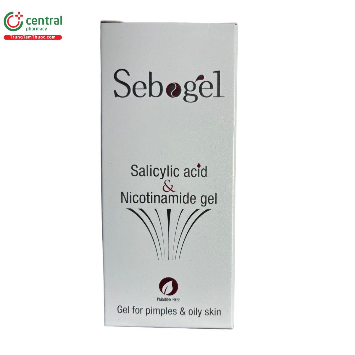 sebogel 2 H2110