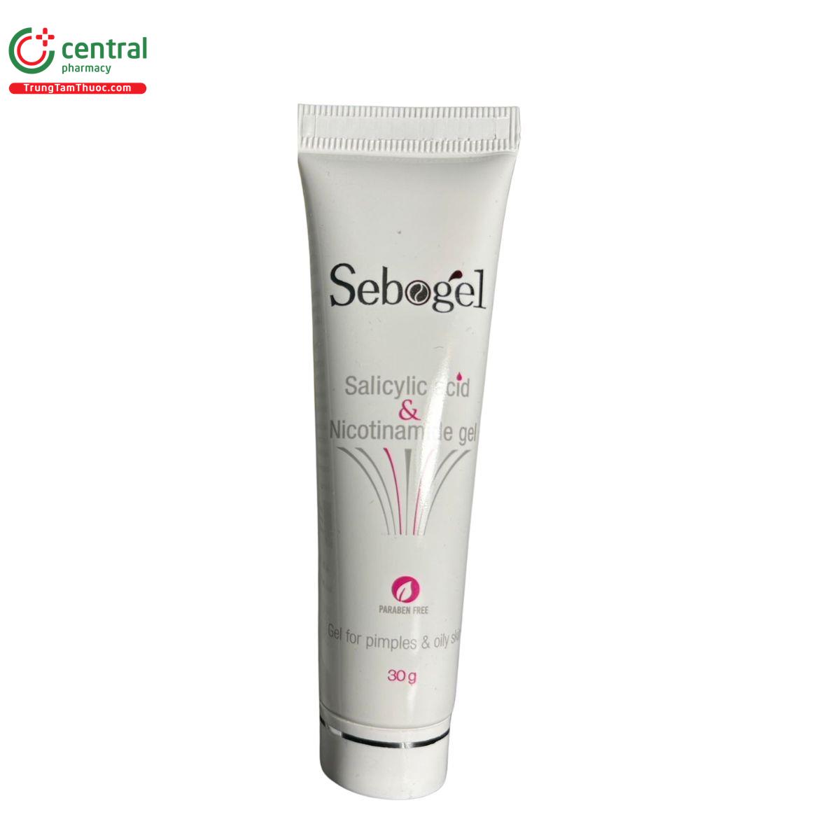 sebogel 7 E1128