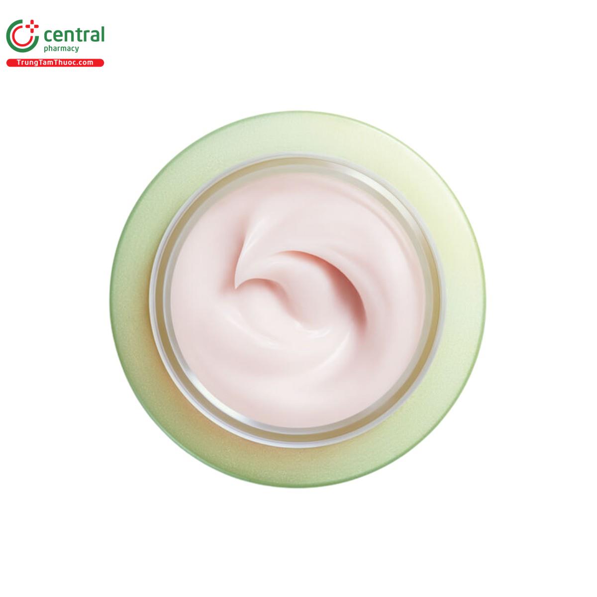 shiseido future solution lx legendary enmei ultimate renewing cream 4 P6675