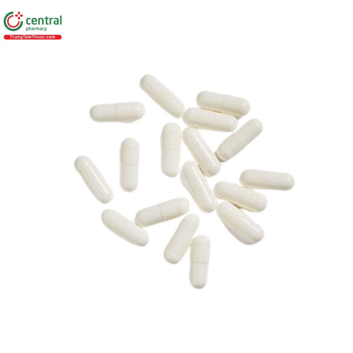 siberian supernatural sport l carnitine 4 V8220 siberian supernatural sport l carnitine 4 V8220