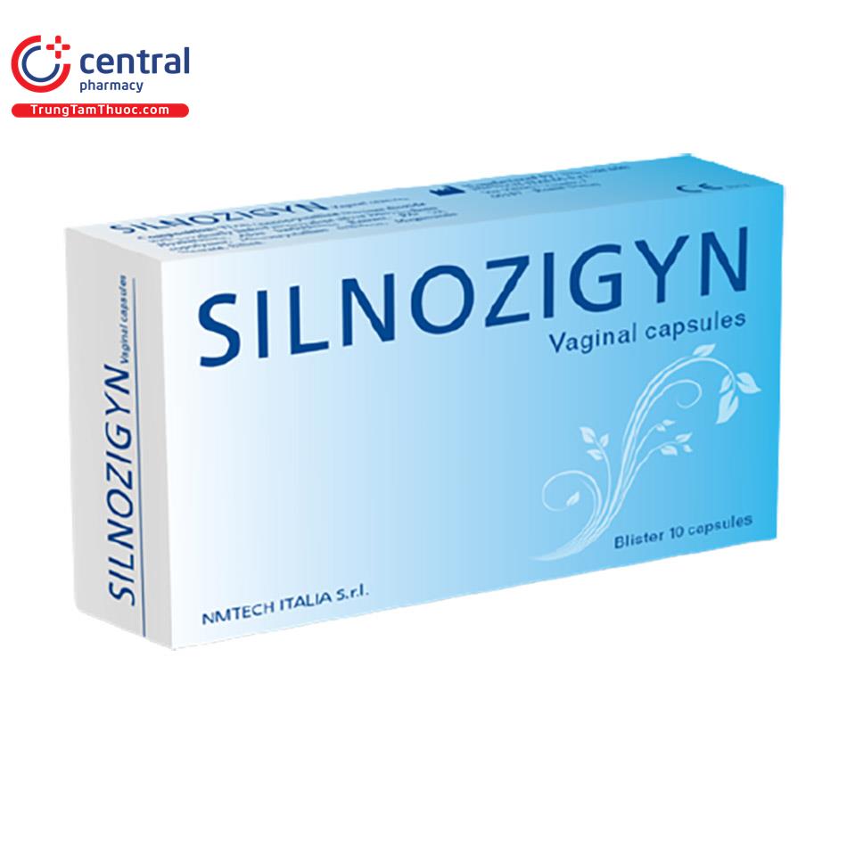 silnozigyn 1 E1732