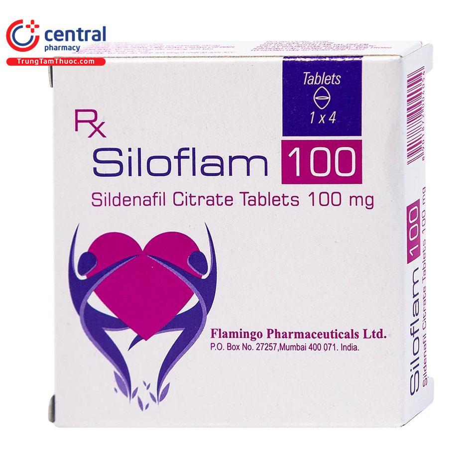 siloflam 100 3 O5831