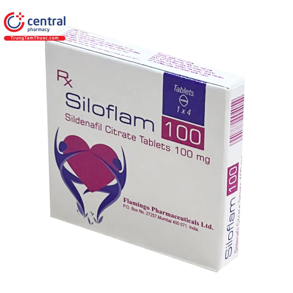 siloflam 100 4 I3468