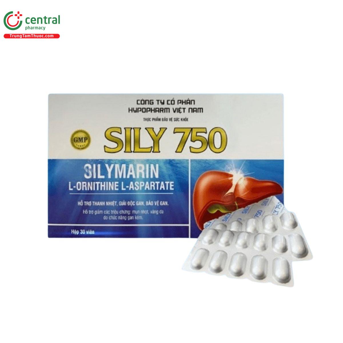 sily 750 2 V8732 sily 750 2 V8732