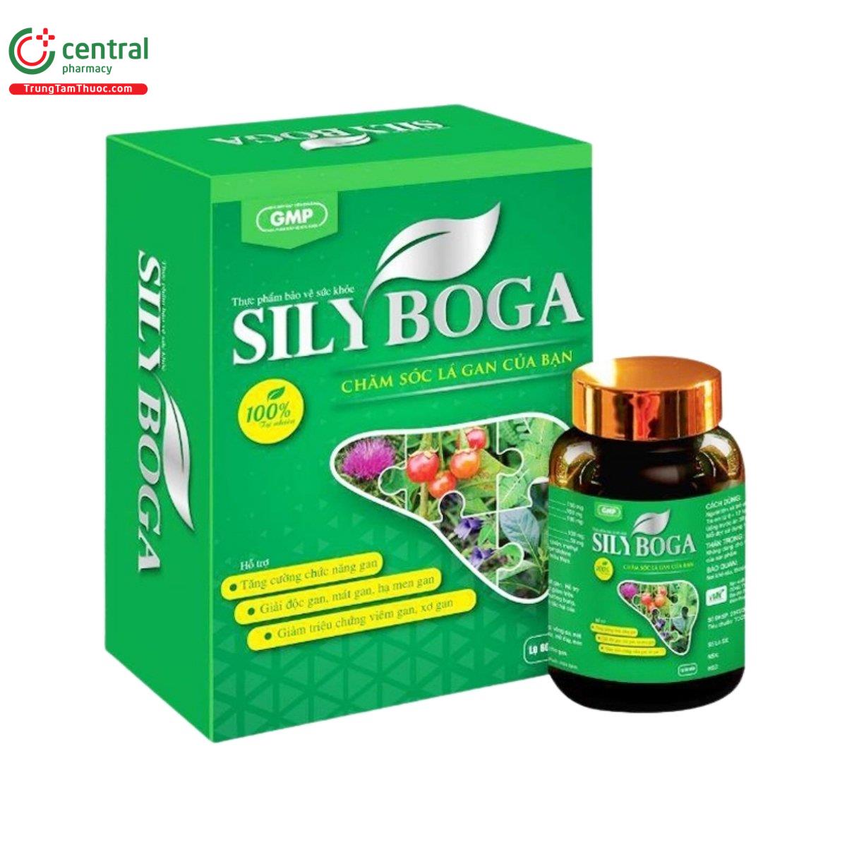 sily boga 1 L4443